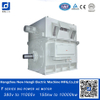 Made in China Electric Induction AC Motor