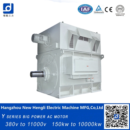 Made in China Electric Induction AC Motor