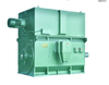 Made in China Electric Induction AC Motor