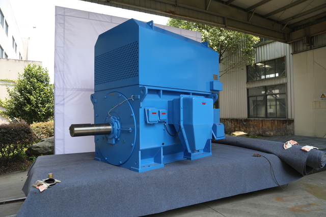 Made in China Manufacturers Electric Motor For Hoist High Voltage Motor Manufacturers